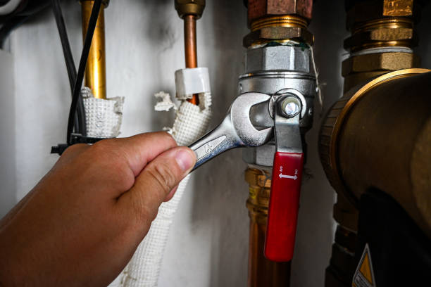 Best Toilet Repair Services  in Rodney Village, DE